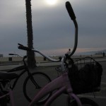 img_8040 img_8040